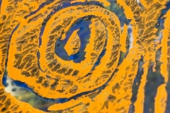 Flower. (Detail).  Objekt. 20x20 cm.