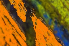 Flower. (Detail).  Objekt. 20x20 cm.