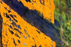 Flower. (Detail).  Objekt. 20x20 cm.
